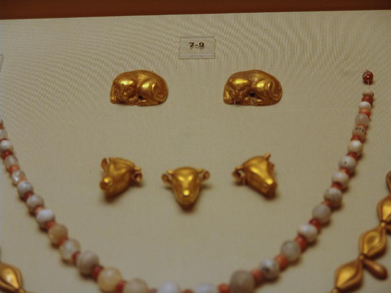 DSC07562.JPG