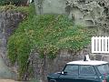 DSC08880