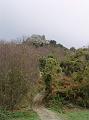 DSC08911