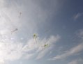 DSC09718