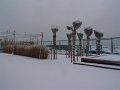 DSC08946