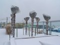 DSC08948
