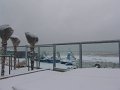 DSC08949