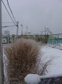 DSC08951