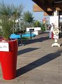 DSC09539