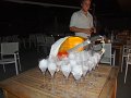 DSC09756