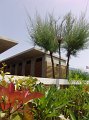 DSC09202