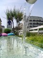 DSC09207