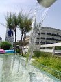 DSC09208