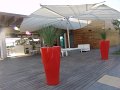 DSC09403