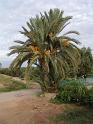 DSC00999