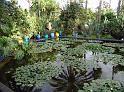 DSC01013