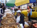 DSC08799