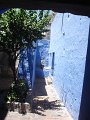 DSC08844
