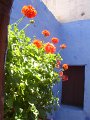 DSC08856