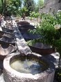 DSC08863