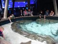 DSC00829
