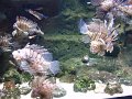 DSC00832