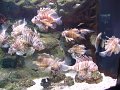 DSC00833
