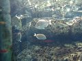 DSC00836