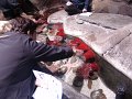 DSC00854