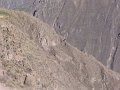 DSC00004