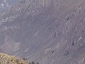 DSC00013