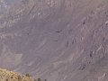 DSC00020