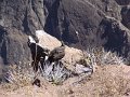 DSC00048