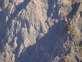 DSC09059