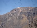 DSC09064