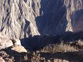 DSC09976