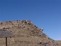 DSC09994