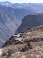 DSC09995