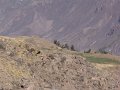 DSC09997