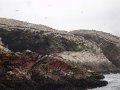 DSC08589