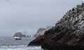 DSC08596