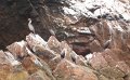 DSC08602