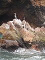 DSC08603