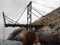 DSC08605
