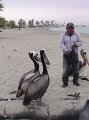DSC09911