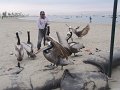 DSC09912