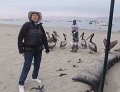 DSC09919