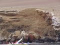 DSC09924