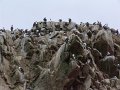 DSC09938