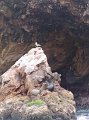 DSC09944
