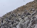 DSC09945