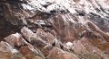 DSC09949