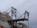 DSC09951