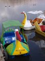 DSC00070